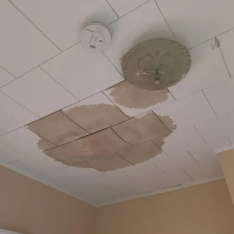 Ceiling Water Damage Repair in Dunnstown, PA