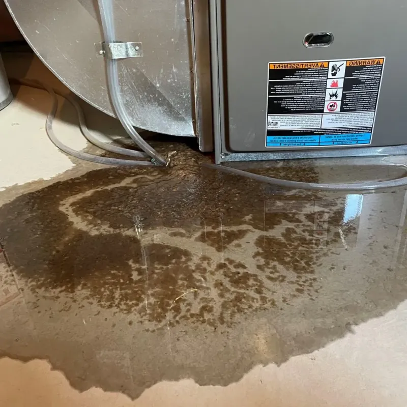 Pipe Burst and Leak Restoration in Dunnstown, PA