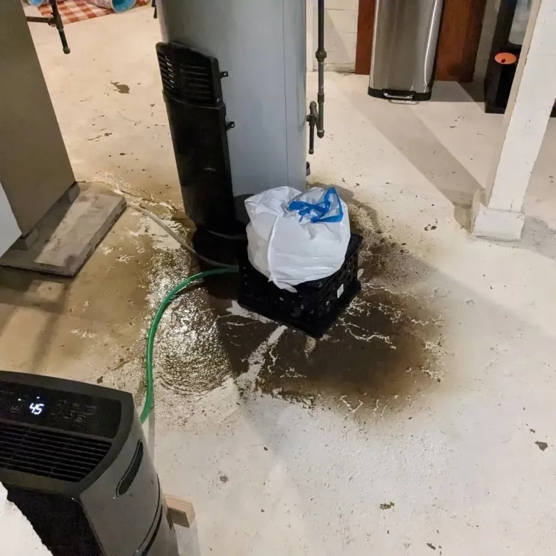 Sewage Backup Cleanup Service in Dunnstown, PA